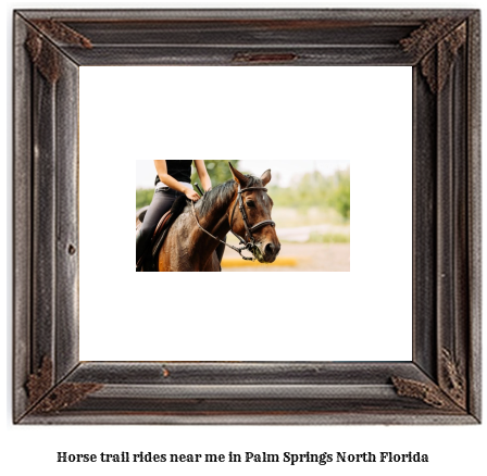 horse trail rides near me in Palm Springs North, Florida